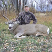 muledeer2