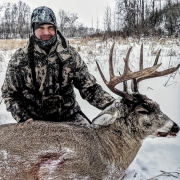 whitetail-1