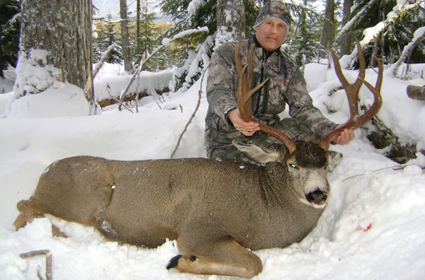 mule-deer-hunting-guide-outfitter-in-bc Mule Deer Hunting Guide Outfitter in BC